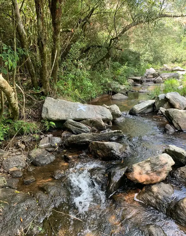 Arroio com mata nativa em área avaliada em defesa ambiental